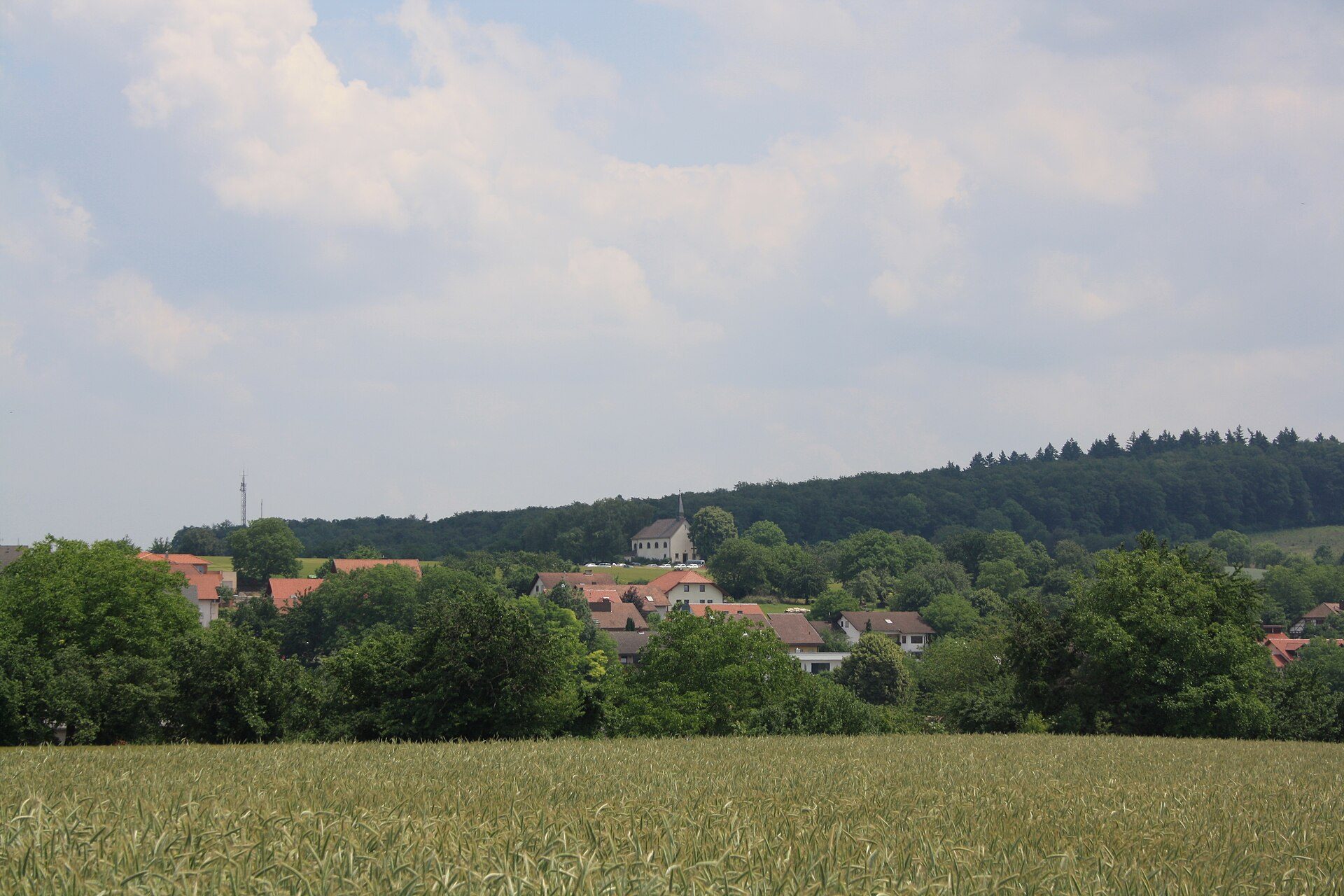 Blick über ein Getreidefeld auf Neibsheim am Waldrand