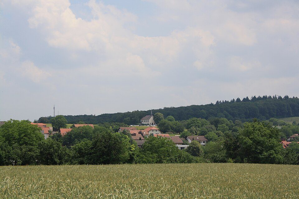 Blick über ein Getreidefeld auf Neibsheim am Waldrand